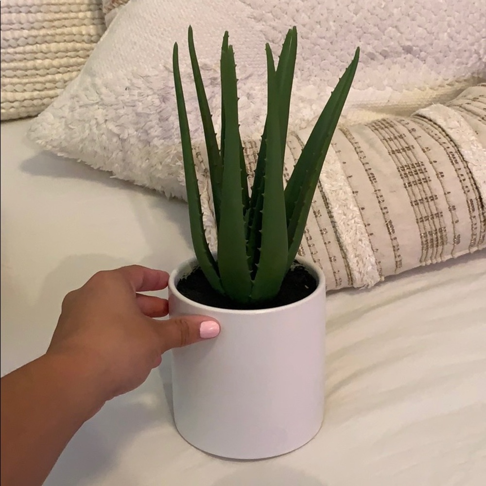 Fake plant